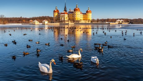 Čarovné miesta kde sa natáčala Popoluška. Hrady Moritzburg a Švihov