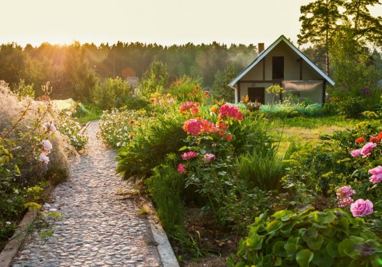 Permakulturúrna záhrada rešpektuje prírodné zákony, je akonomickejšia a menej náročná na údržbu. Na tradičné záhony s udržiavanými riadkami a používanie chémie u nej však zabudnite. Zdroj: Scorpp, Shutterstock