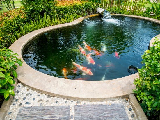Do prirodzene vyzerajúcich záhrad sa skôr než klasický bazén hodí prírodné jazierko, ktoré na rozdiel od neho zdobí záhradu po celý rok. Zdroj: Kwangmoozaa, Shutterstock