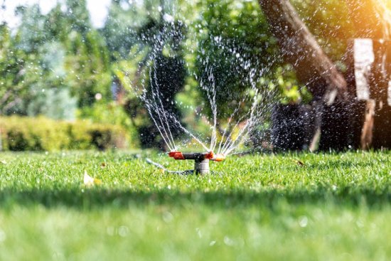 Záhradničenie v 21. storočí je ľahšie ako kedykoľvek predtým. Automatické zavlažovacie systémy zabezpečia, aby mali všetky rastliny dostatok vlahy a inteligentné sekačky sa postarajú o dokonale upravený trávnik. Zdroj: Gorloff-KV, Shutterstock