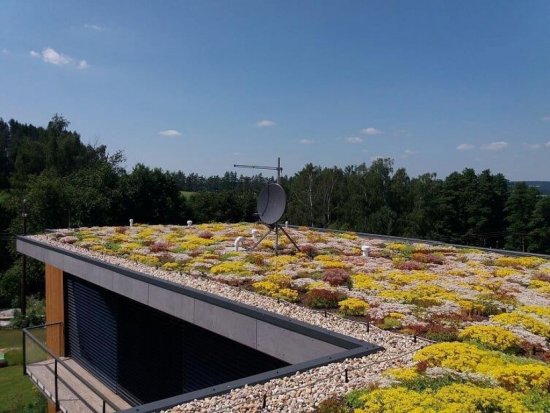 Zelená strecha znižuje prehrievanie interiéru. Šikmá extenzívna strecha (realizácia GreenVille)