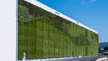 Najväčšia súvislá vertikálna záhrada v Česku: Unikátny vedecký projekt ukazuje nové možnosti, ako vyriešiť tepelné ostrovy