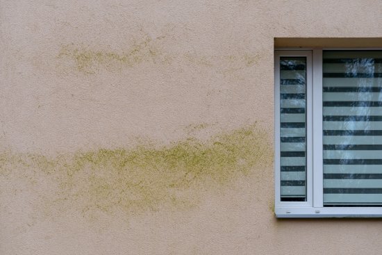 Mikroorganizmy, ako sú riasy a plesne, sú závislé na vlhkom a chladnom prostredí a vytvárajú rozsiahle kolónie schopné rýchlo pokryť celú zatienenú plochu fasády. Zdroj: Igor Shoshin